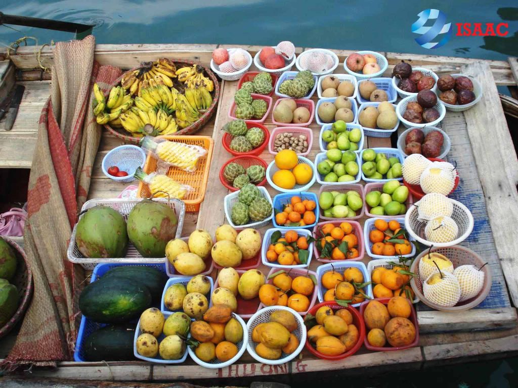 cho-dau-moi-trai-cay-gia-tot