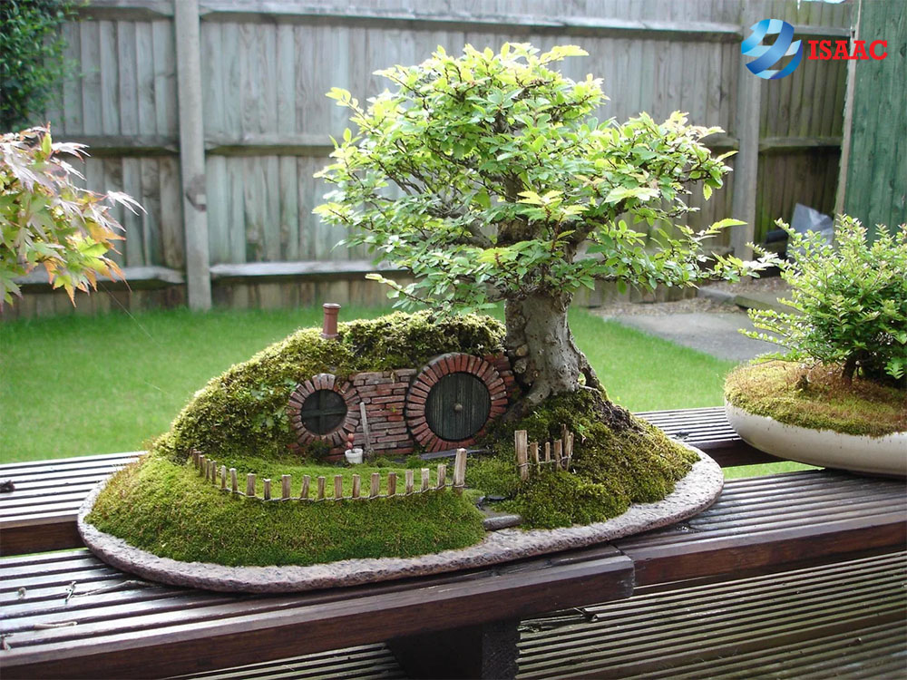 kinh doanh cây cảnh bonsai